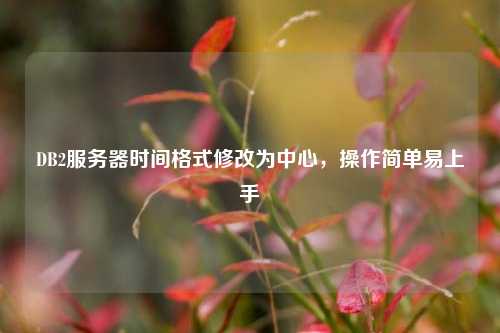 DB2服務(wù)器時間格式修改為中心，操作簡單易上手