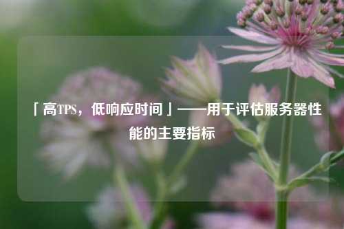 「高TPS，低響應時間」——用于評估服務器性能的主要指標
