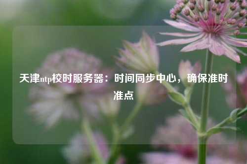 天津ntp校時服務器：時間同步中心，確保準時準點