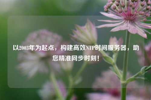 以2003年為起點，構建高效NTP時間服務器，助您精準同步時刻！